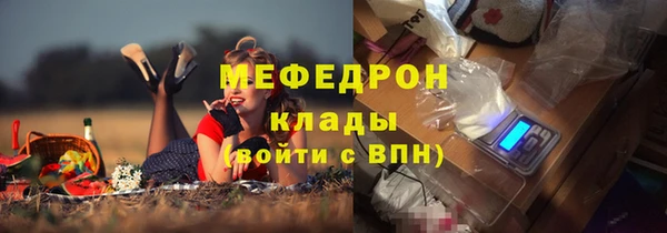 прущие грибы Верея